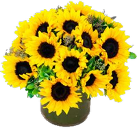 a bouquet of sunflowers